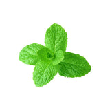dōTERRA Spearmint - 15ml