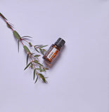 dōTERRA Abode Mischung 15ml – Flasche mit Eukalyptuszweig auf lila Hintergrund Aufsicht | doTERRA