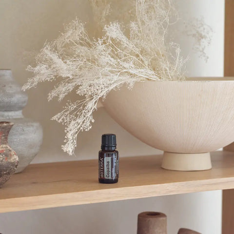 dōTERRA Kopaivaöl ätherisches Öl 15ml | CPTG rein | Aromatherapie doTERRA