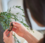 dōTERRA Gewürznelkenöl ätherisches Öl 15ml | CPTG rein | Aromatherapie doTERRA