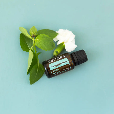 dōTERRA Spearmint Grüne Minze ätherisches Öl 15ml | CPTG rein | Aromatherapie doTERRA