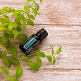 dōTERRA Spearmint Grüne Minze ätherisches Öl 15ml | CPTG rein | Aromatherapie doTERRA