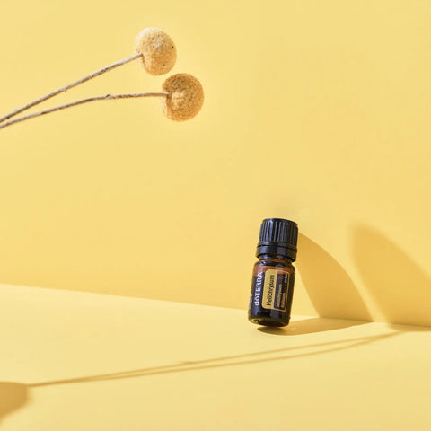 dōTERRA Helichrysum Strohblume ätherisches Öl 5ml | CPTG rein | Aromatherapie doTERRA