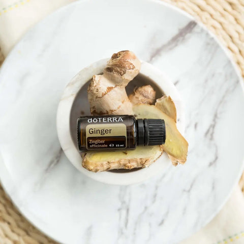 dōTERRA Ingweröl ätherisches Öl 15ml | CPTG rein | Aromatherapie doTERRA