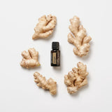 dōTERRA Ingweröl ätherisches Öl 15ml | CPTG rein | Aromatherapie doTERRA