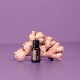 dōTERRA Ingweröl ätherisches Öl 15ml | CPTG rein | Aromatherapie doTERRA