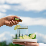 dōTERRA Limettenöl ätherisches Öl 15ml | CPTG rein | Aromatherapie doTERRA