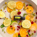 dōTERRA Limettenöl ätherisches Öl 15ml | CPTG rein | Aromatherapie doTERRA