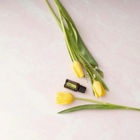 dōTERRA Limettenöl ätherisches Öl 15ml | CPTG rein | Aromatherapie doTERRA