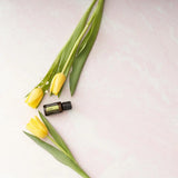 dōTERRA Limettenöl ätherisches Öl 15ml | CPTG rein | Aromatherapie doTERRA