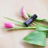 dōTERRA Patchouliöl ätherisches Öl 15ml | CPTG rein | Aromatherapie doTERRA