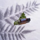 dōTERRA Pfefferminzöl ätherisches Öl 15ml | CPTG rein | Aromatherapie doTERRA