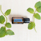 dōTERRA Pfefferminzöl ätherisches Öl 15ml | CPTG rein | Aromatherapie doTERRA
