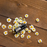 dōTERRA Römische Kamille ätherisches Öl 5ml | CPTG rein | Aromatherapie doTERRA