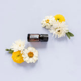 dōTERRA Römische Kamille ätherisches Öl 5ml | CPTG rein | Aromatherapie doTERRA