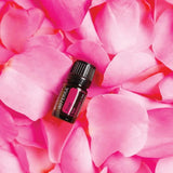 dōTERRA Rose ätherisches Öl 5ml | CPTG rein | Aromatherapie doTERRA
