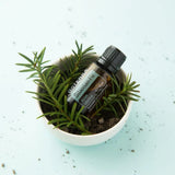 dōTERRA Sibirische Tanne ätherisches Öl 15ml | CPTG rein | Aromatherapie doTERRA
