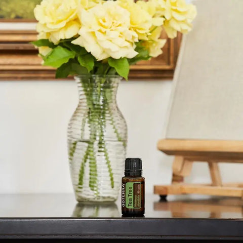 dōTERRA Teebaumöl ätherisches Öl 15ml | CPTG rein | Aromatherapie doTERRA