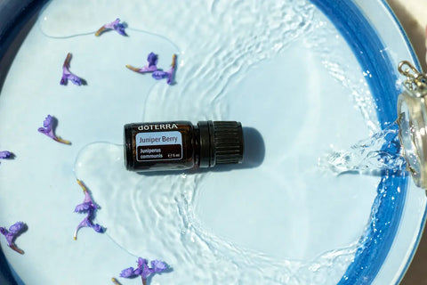 dōTERRA Wacholderbeere ätherisches Öl 5ml | CPTG rein | Aromatherapie doTERRA