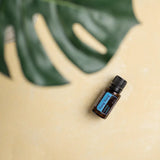 dōTERRA Ylang Ylang ätherisches Öl 15ml | CPTG rein | Aromatherapie doTERRA