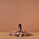 dōTERRA Zedernöl ätherisches Öl 15ml | CPTG rein | Aromatherapie doTERRA