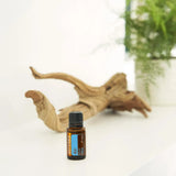 dōTERRA Air Atemwegs-Mischung 15ml – Flasche auf weißem Holz mit grüner Pflanze | doTERRA