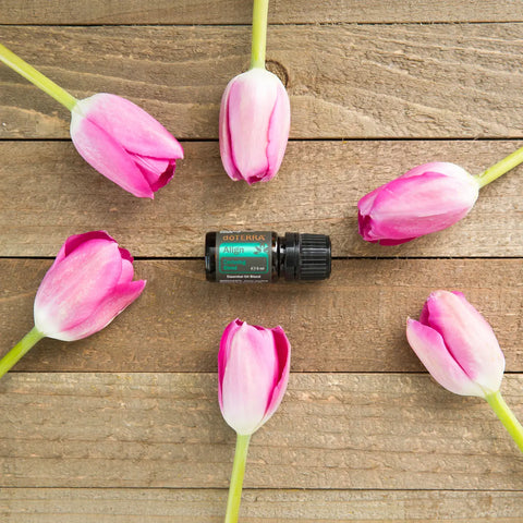 dōTERRA Align Zentrierende Mischung 5ml – Flasche auf rustikalem Holzbrett mit Tulpen und Rosen | doTERRA