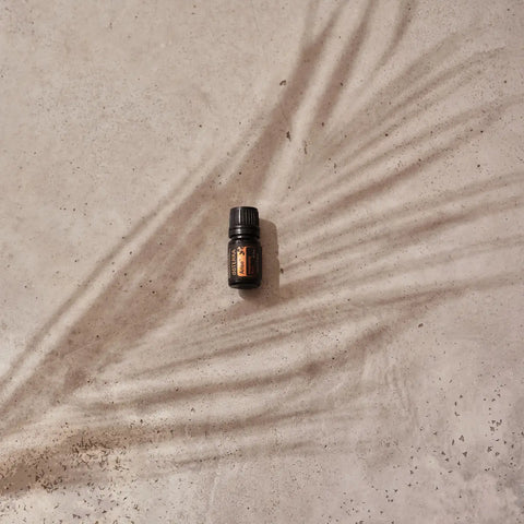 dōTERRA Arise Erleuchtende Mischung 5ml – Flasche auf Beton mit Blatt Aufsicht | doTERRA