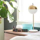 dōTERRA AromaTouch Diffused Set – Diffuser mit Ölen auf Beistelltisch, nächtliche Atmosphäre mit Pflanze | doTERRA