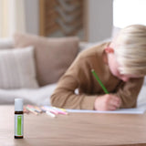 dōTERRA Steady Roll-on 10ml – lernender Junge mit Unterstützung für Fokus und Wohlbefinden | doTERRA