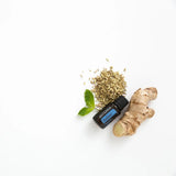dōTERRA ZenGest 15ml ätherisches Öl mit Ingwer und Fenchel | doTERRA