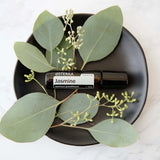dōTERRA Jasmin Touch Roll-On 10ml – Flasche auf schwarzem Teller mit Eukalyptuszweigen auf Marmor | doTERRA