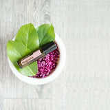 dōTERRA Magnolia Touch Roll-On 10ml – Flasche in weißer Schüssel mit lila Blumen, Vogelperspektive | doTERRA