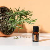 dōTERRA Motivate Mischung 5ml mit Terrakotta und Rosmarin | doTERRA