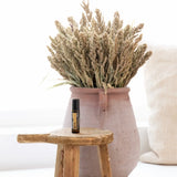 dōTERRA Myrrhe Touch Roll-on 10ml auf rustikalem Holzbank mit Terrakotta-Krug und getrockneten Pflanzen | doTERRA