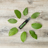 dōTERRA TerraShield Spray 30ml – Große grüne Blätter auf weißem Holz von oben | doTERRA