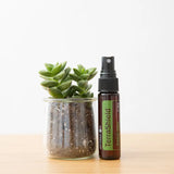 dōTERRA TerraShield Spray 30ml – Sukkulente mit Kristall auf Holztisch, weißer Hintergrund | doTERRA