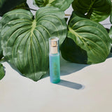 dōTERRA Verage Feuchtigkeitscreme 30ml Flasche Pflanzen beiger Hintergrund | dōTERRA Hautpflege