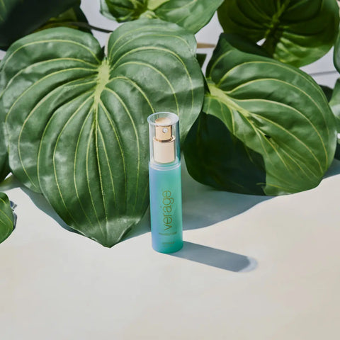 dōTERRA Verage Feuchtigkeitscreme 30ml Flasche Pflanzen beiger Hintergrund | dōTERRA Hautpflege
