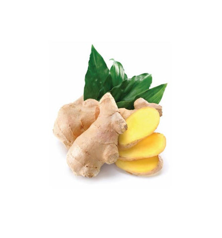 Ginger Botonic